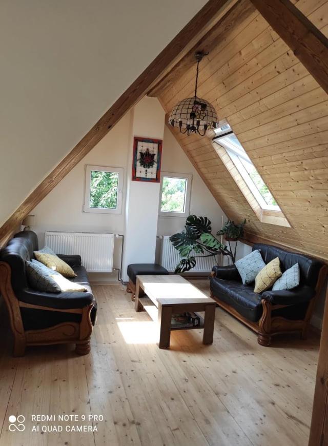 Art-House 4 Attic Apartment Decin Exterior foto